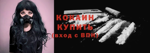 прущая мука Инсар