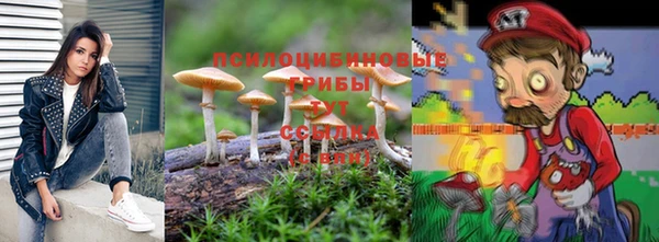 2c-b Инта