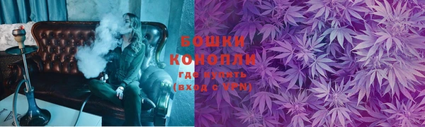 2c-b Инта