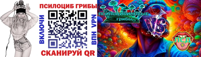 Купить  Гусиноозёрск  Галлюциногенные грибы Magic Shrooms 