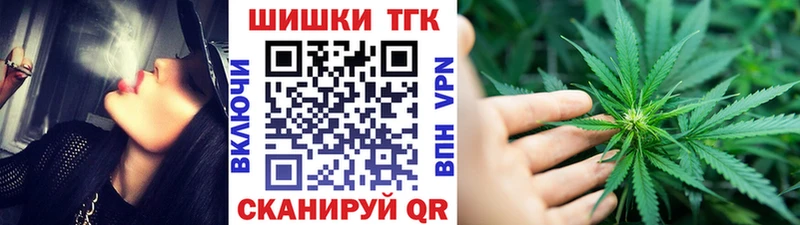 Бошки Шишки планчик  Купить закладки  Гусиноозёрск 